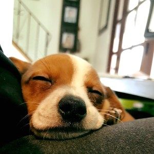 Meet your Posher, Chrissy